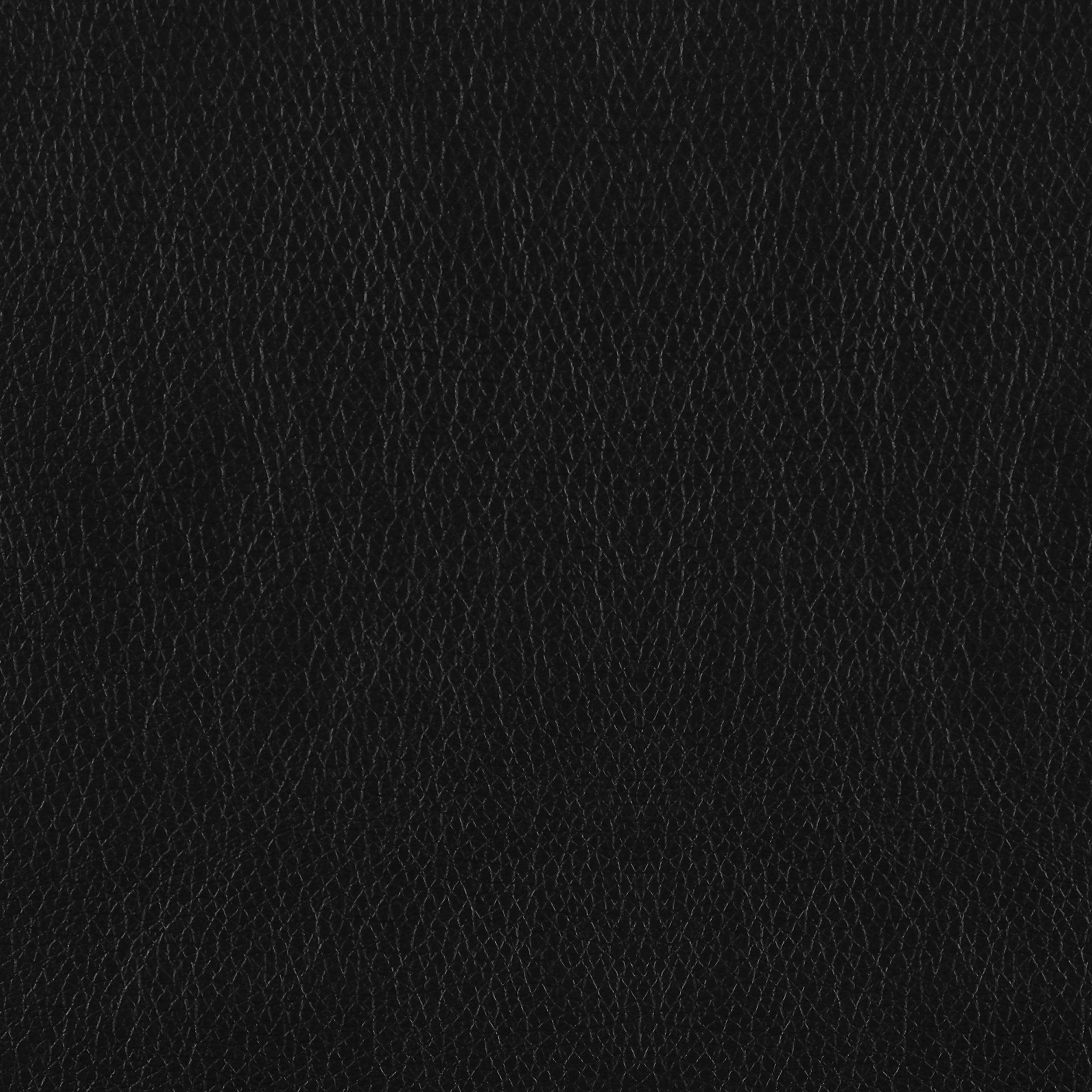 22909262
