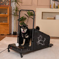 Dog Treadmill for Medium Dogs - Dog Pacer Treadmill for Healthy & Fit Pets - Dog Treadmill Run Walk