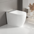 Modern integrated Smart toilet, Auto Open/Close lid, temperature heating seat, instant warm water cleaning, can automatically flush, remote control flush, foot sensing flush